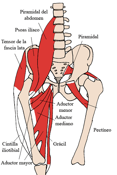 así es la lesión de la cintilla ilotibial