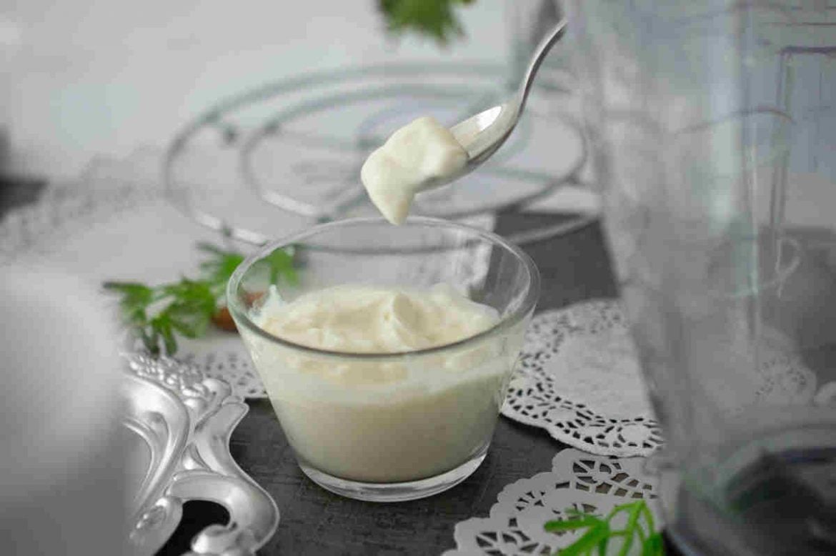 Yogur fermentado con probióticos