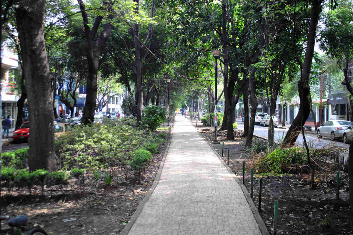 Colonia condesa, Ciudad de Mexico