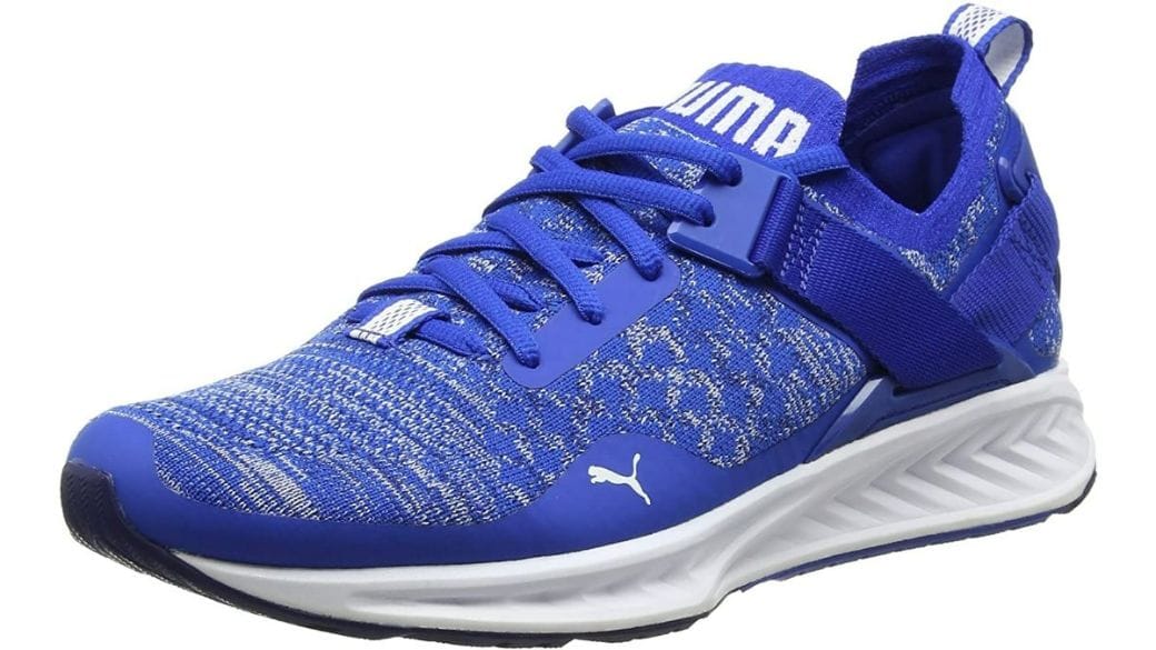 Pacífico Hacer corazón Puma Ignite EvoKNIT: características y análisis | RUNFIT