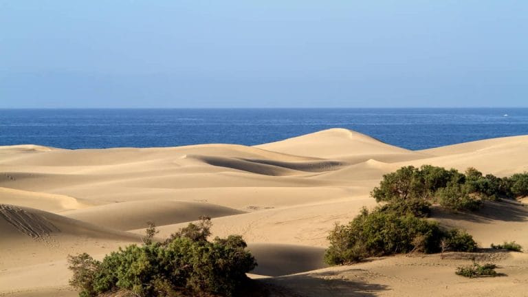 Dunas de Maspalomas