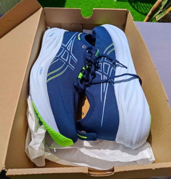 Nimbus 26 caja